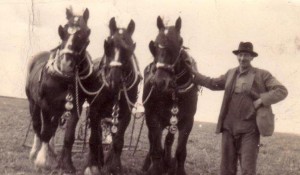 fred audley cropped2